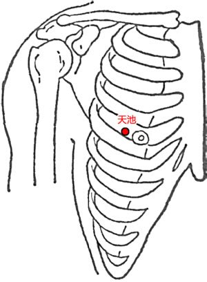 天池穴